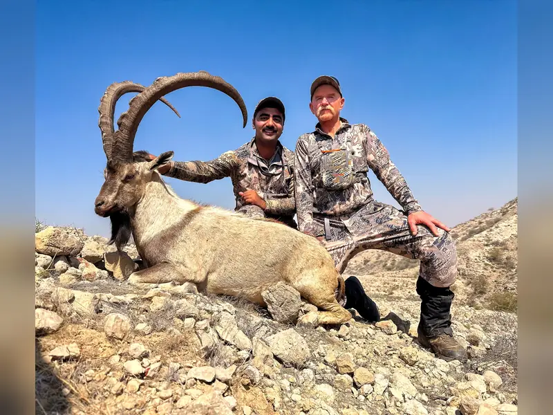 Sindh Ibex, Sindh and Balochistan