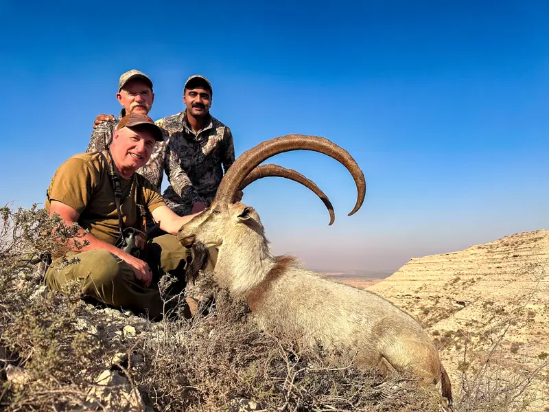 Sindh Ibex, Sindh and Balochistan