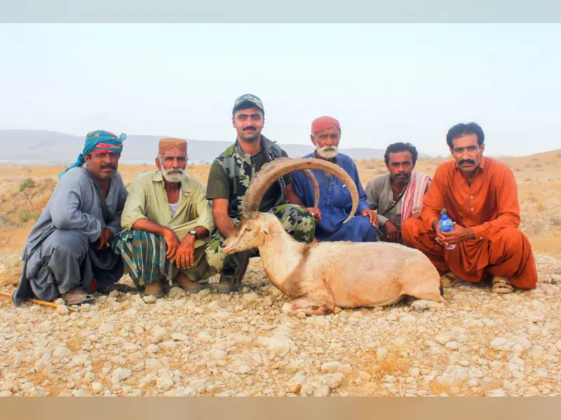 Sindh Ibex, Sindh and Balochistan