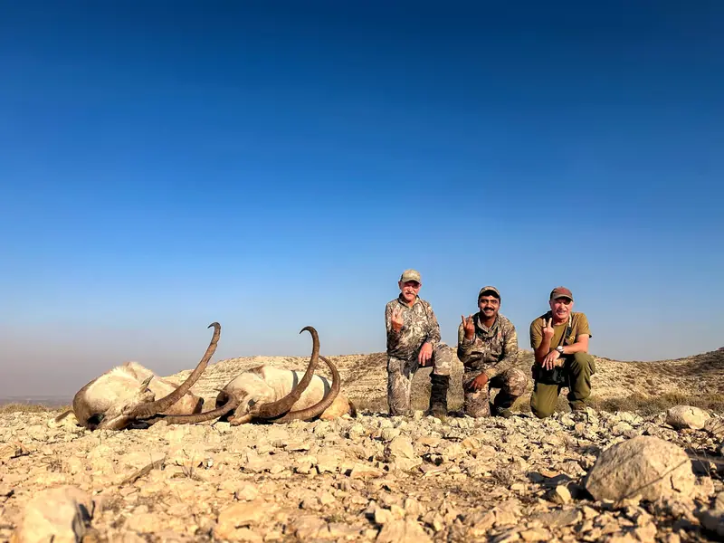 Sindh Ibex, Sindh and Balochistan