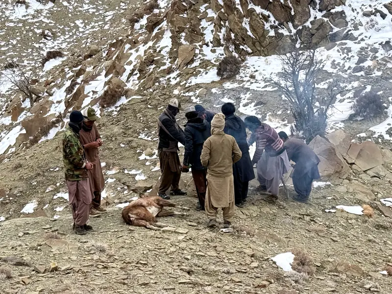 Suleman Markhor, Torghar, Balochistan