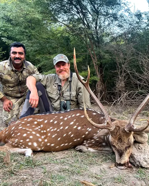 Axis Deer, Sindh and Punjab