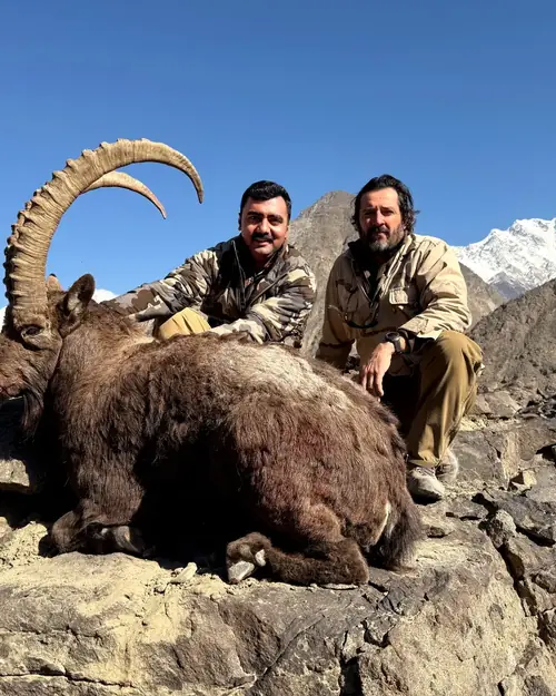 Himalayan Ibex, Gilgit, Skardu, Hunza