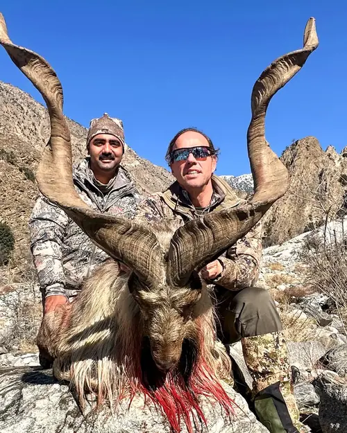 Kashmir Markhor, Chitral and Kaiga, KPK