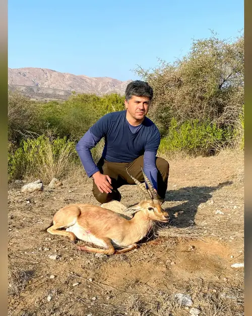 Kennion Gazelle (Chinkara), West of the Kirthar