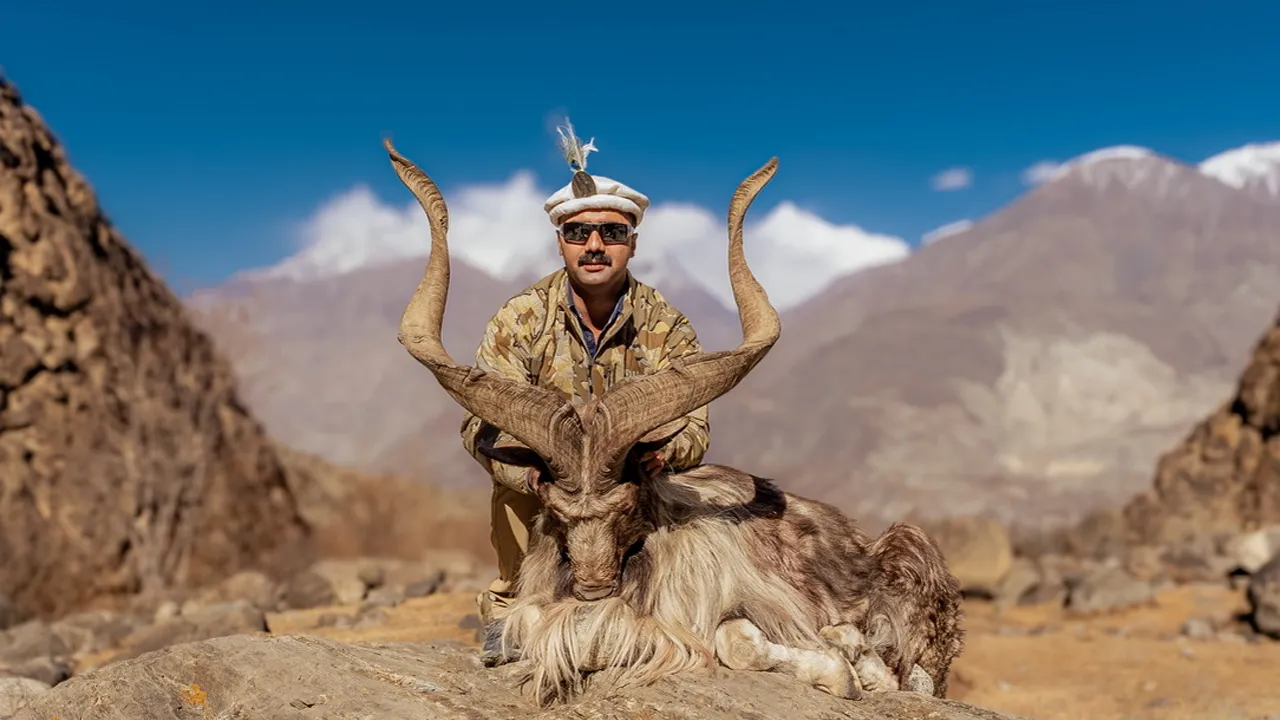 Kashmir Markhor trophy, Chitral