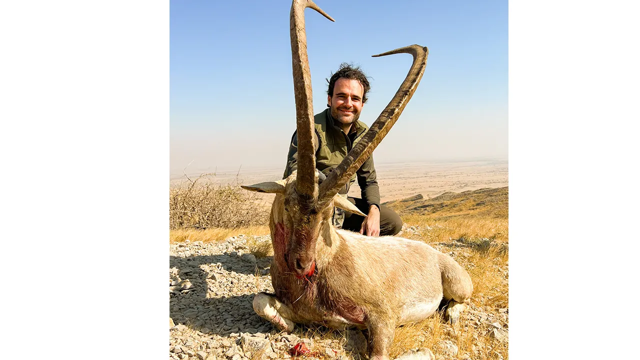 Sindh Ibex — photo coming soon