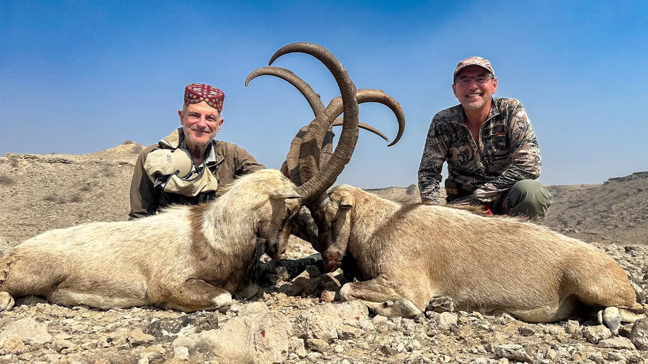 Sindh Ibex — photo coming soon