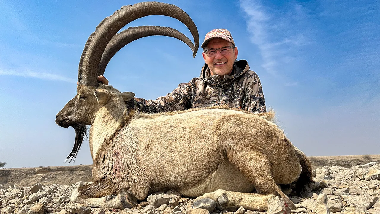Himalayan Ibex — photo coming soon