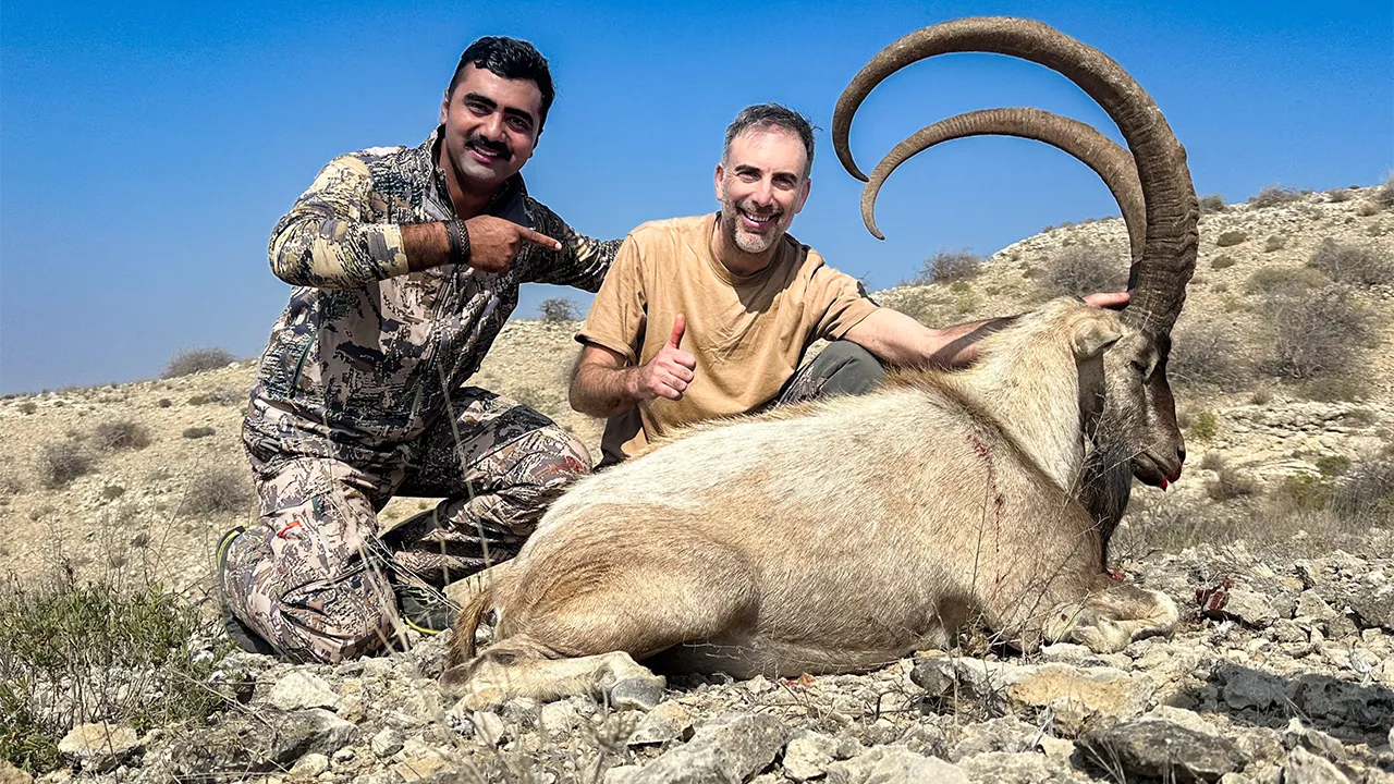Himalayan Ibex — photo coming soon