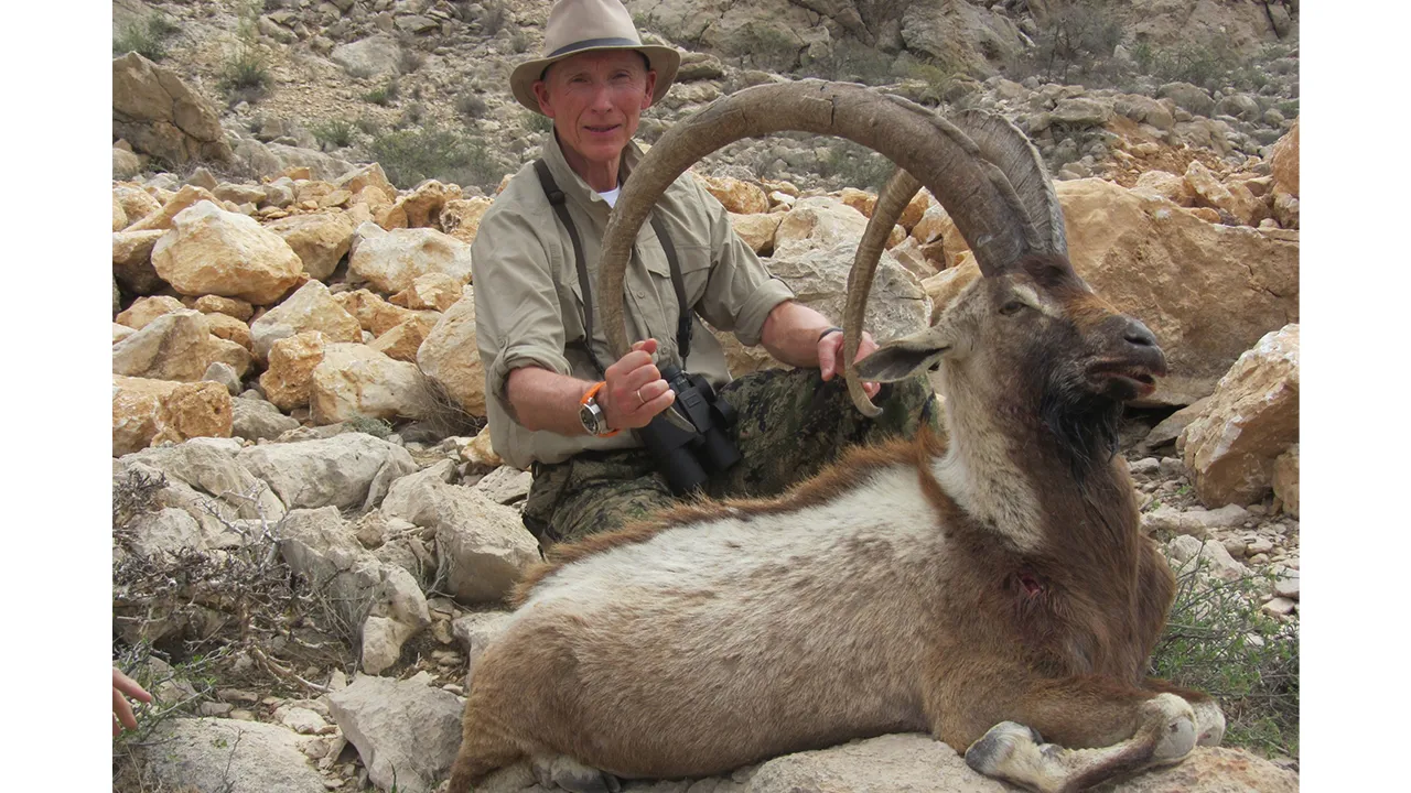 Himalayan Ibex — photo coming soon