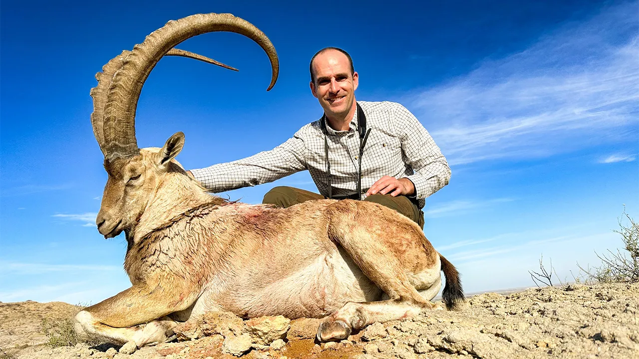 Himalayan Ibex — photo coming soon
