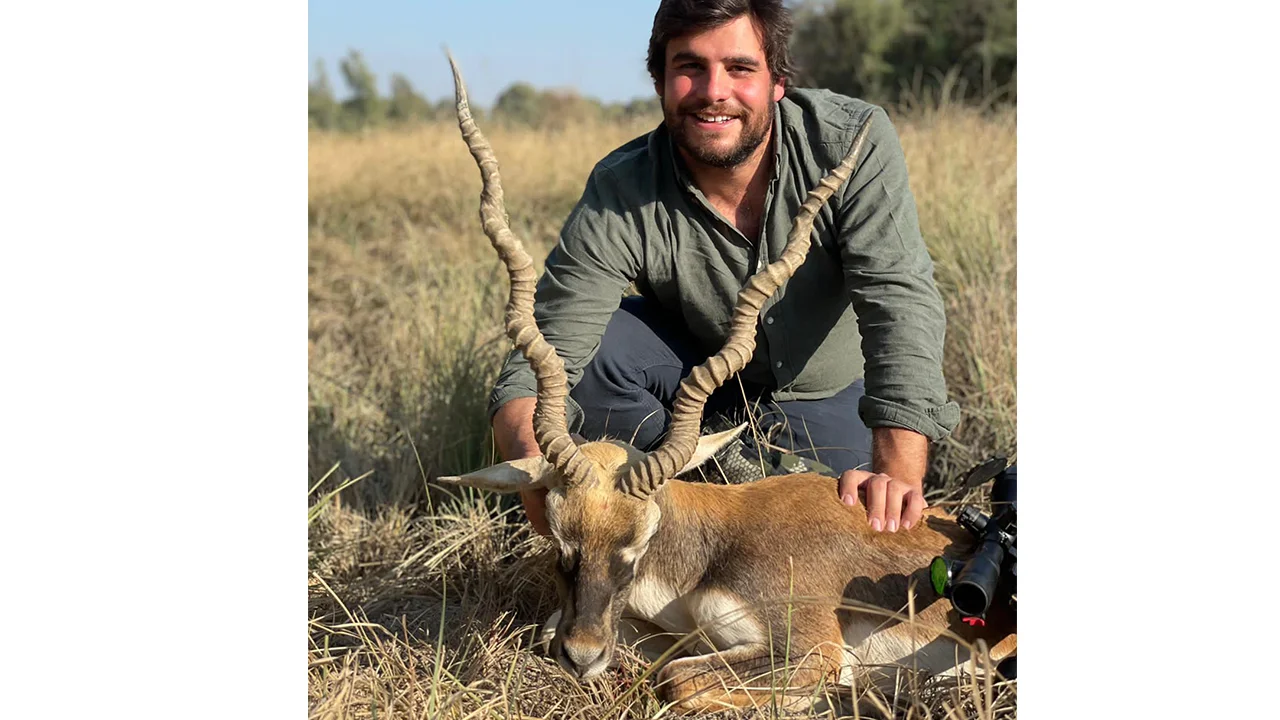 Kennion Gazelle — photo coming soon