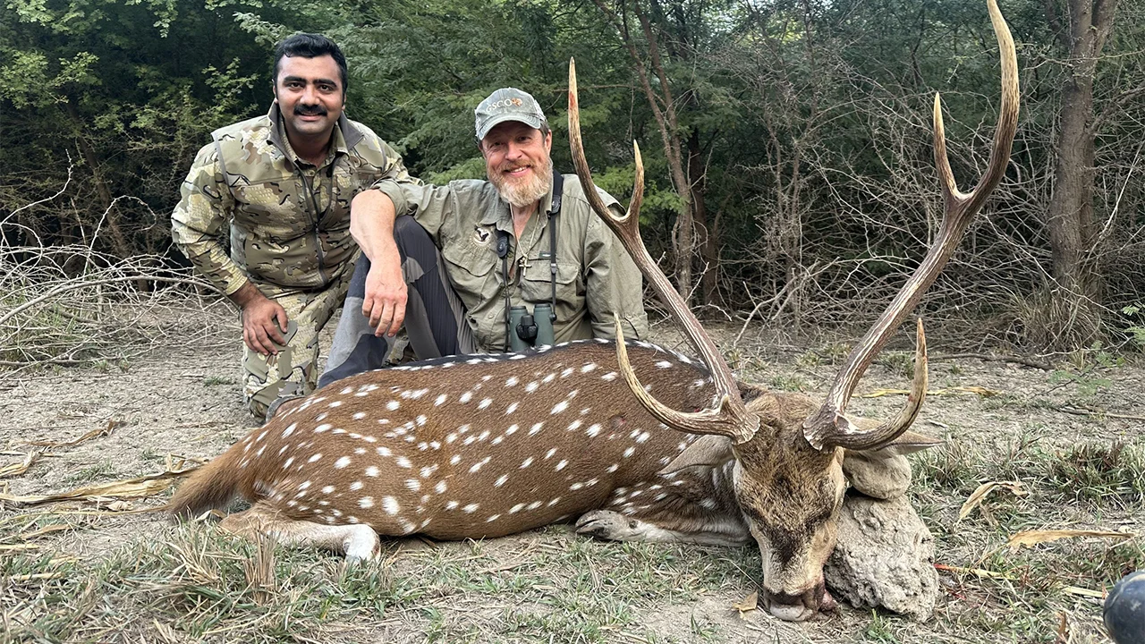 Axis Deer — photo coming soon