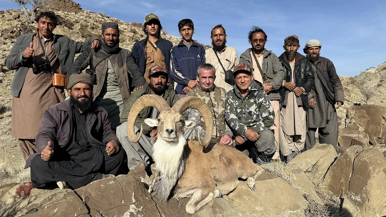Ladakh Urial — photo coming soon