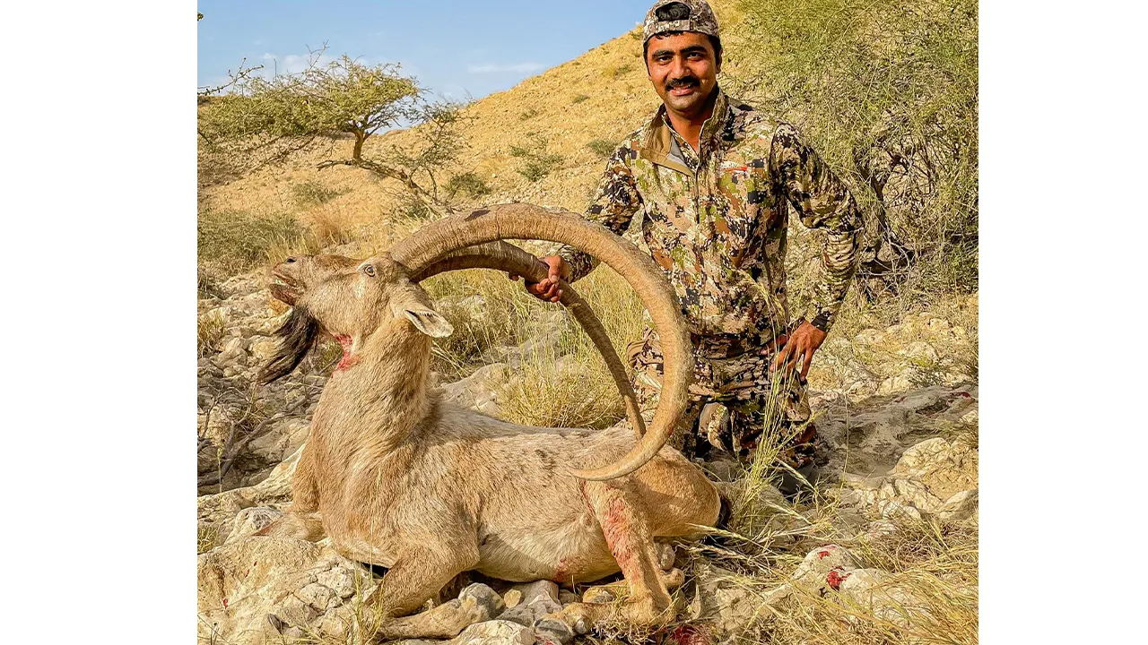 Himalayan Ibex — photo coming soon