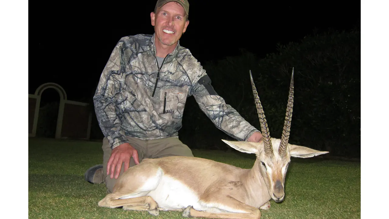 Nilgai — photo coming soon