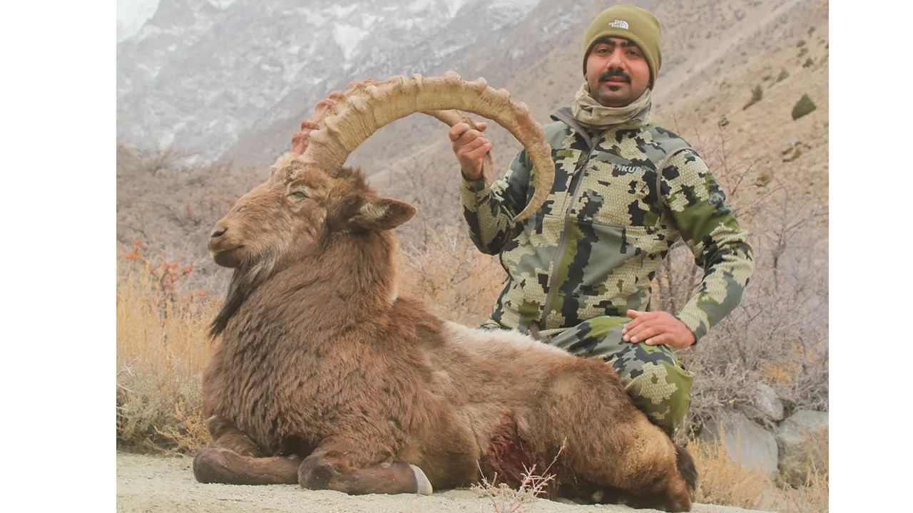 Sindh Ibex — photo coming soon