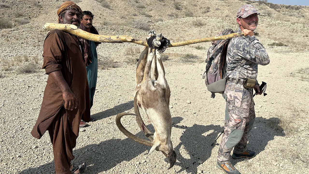 Himalayan Ibex — photo coming soon
