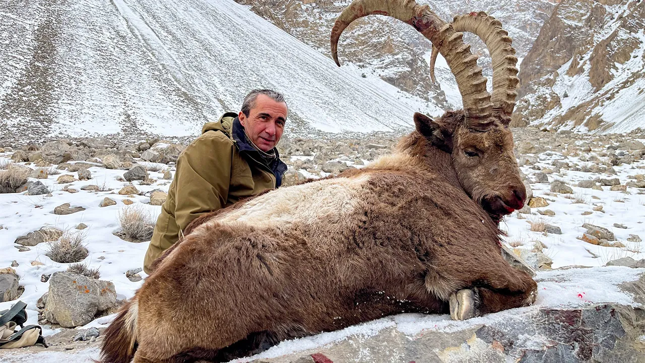 Sindh Ibex — photo coming soon