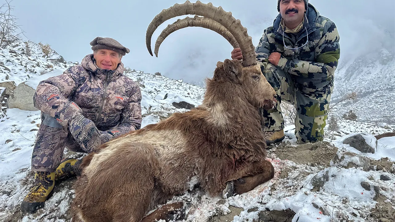 Himalayan Ibex — photo coming soon