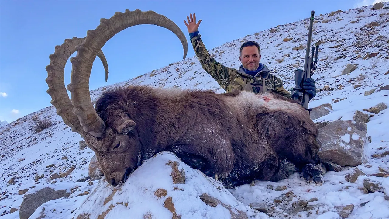 Himalayan Ibex — photo coming soon