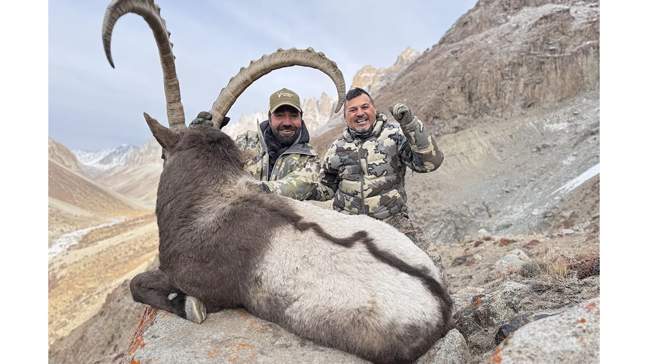 Himalayan Ibex — photo coming soon