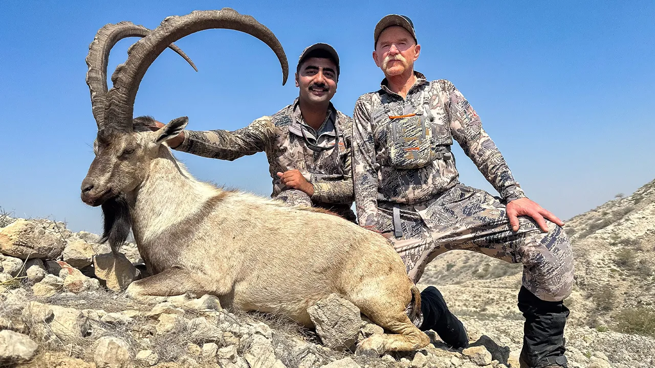 Sindh Ibex — photo coming soon