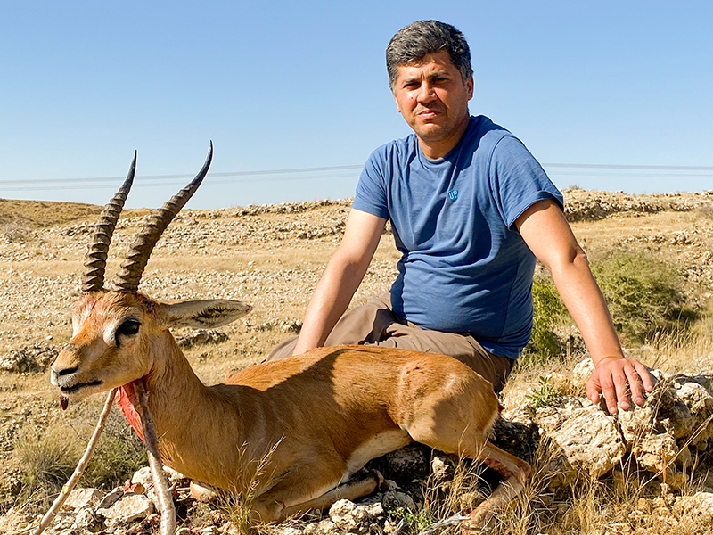 Punjab Urial hunter with trophy — Ovis vignei punjabiensis